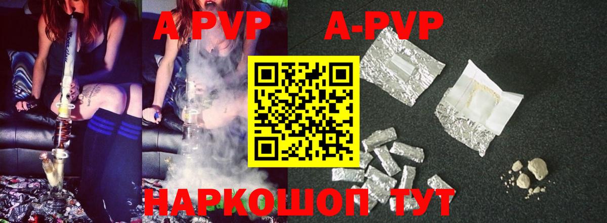 Alfa_PVP СК КРИС Нарткала