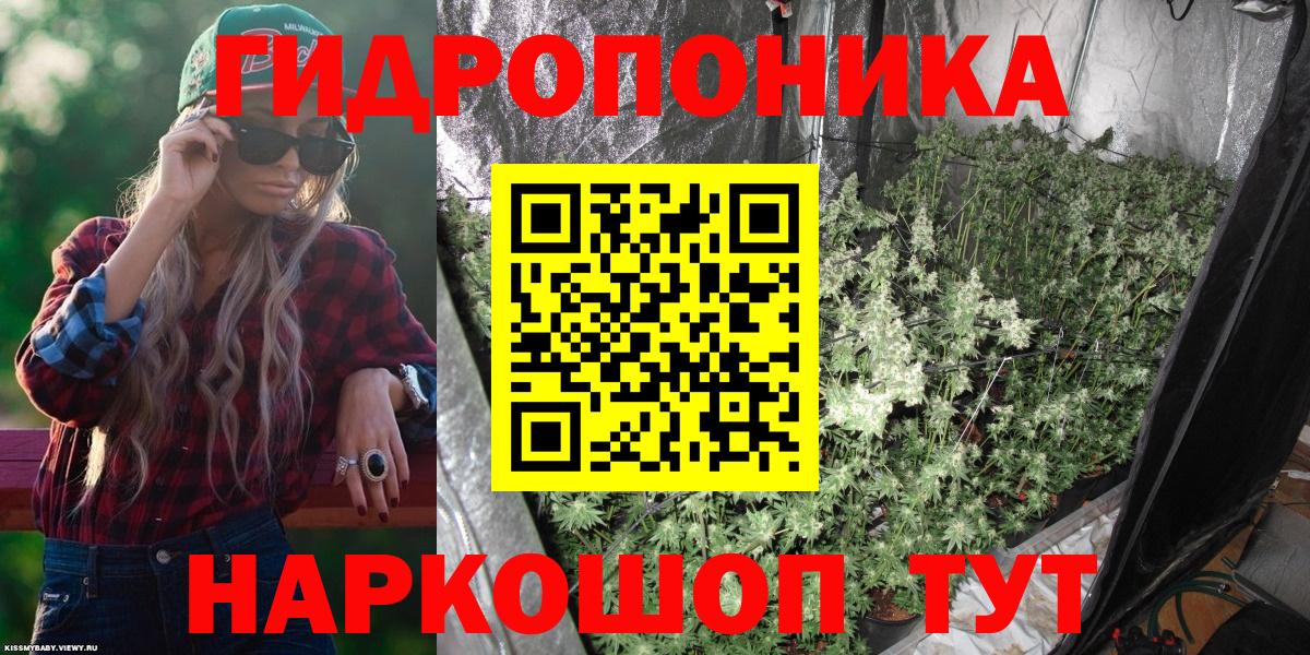 МАРИХУАНА индика Нарткала